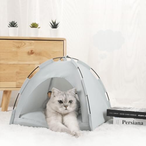 Tente Chat - CatTentBed™ - Gris Cyan - Univers Chat Nature