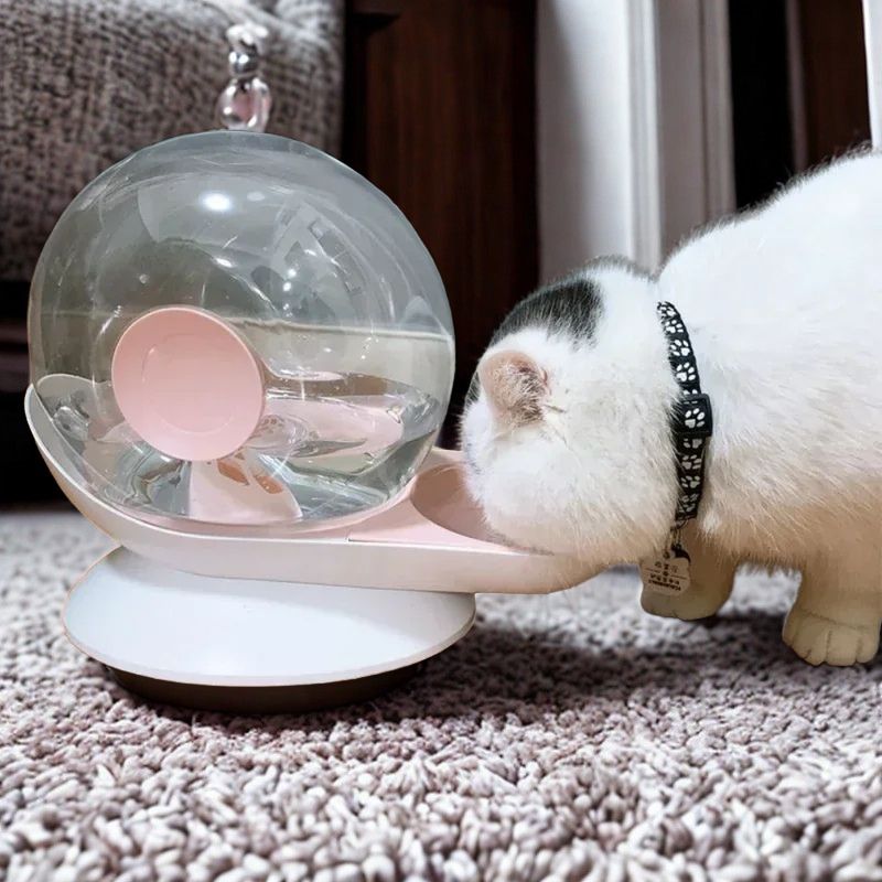 Fontaine à eau chat sans électricité | EcoSip™ - Univers Chat Nature