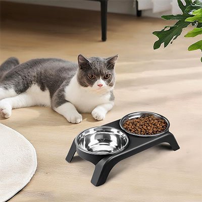 Double gamelle pour chat | ComfortPlusâą - Univers Chat Nature