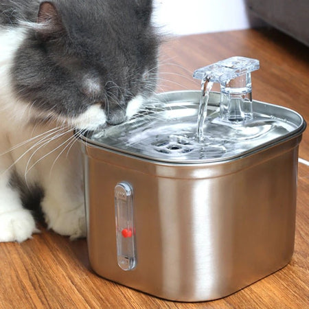 fontaine a eau chat en acier inoxydable xaleau dans un espace du salon avec chat noir blanc qui consomme l'ea de la fontaine