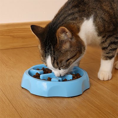 Gamelle anti glouton Chat | FéliFeed™ - Univers Chat Nature