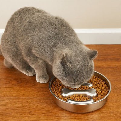 Alimentation maison pour chat : préparer sa nourriture au poulet