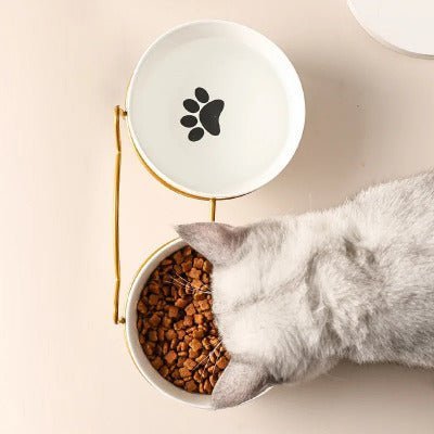 Alimentation chat stérilisé : guide complet et conseils - Univers Chat Nature