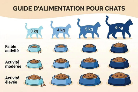 Quantité nourriture chat adulte par jour : guide et tableau - Univers Chat Nature
