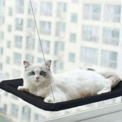 Hamac Chat - PetCatHangingBed™ - Noir - Univers Chat Nature