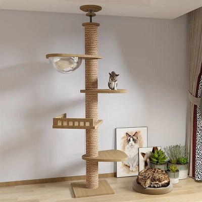 ARBRE A CHAT EN BOIS NATUREL | EcoPaws™ - Univers Chat Nature