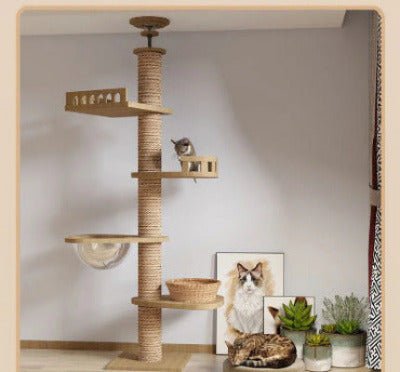 ARBRE A CHAT EN BOIS NATUREL | EcoPaws™ - Univers Chat Nature