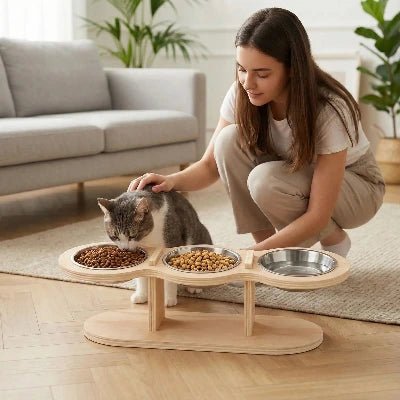 Bol surélevé ergonomique anti - vomissement pour chats sensibles - Univers Chat Nature