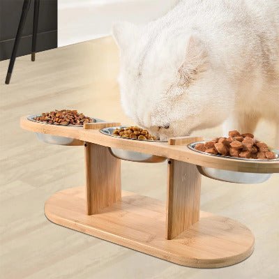 Bol surélevé ergonomique anti - vomissement pour chats sensibles - Univers Chat Nature