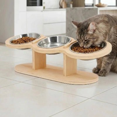 Bol surélevé ergonomique anti - vomissement pour chats sensibles - Univers Chat Nature