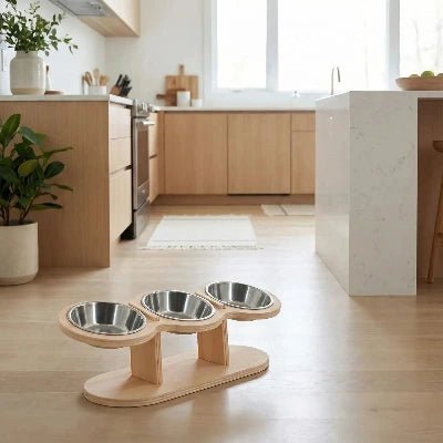 Bol surélevé ergonomique anti - vomissement pour chats sensibles - Univers Chat Nature