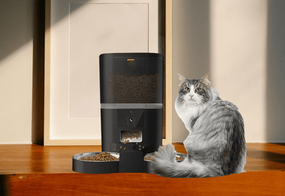 Distributeur automatique de croquettes pour 2 chats ProFeline avec chat noir a cote dun cadre
