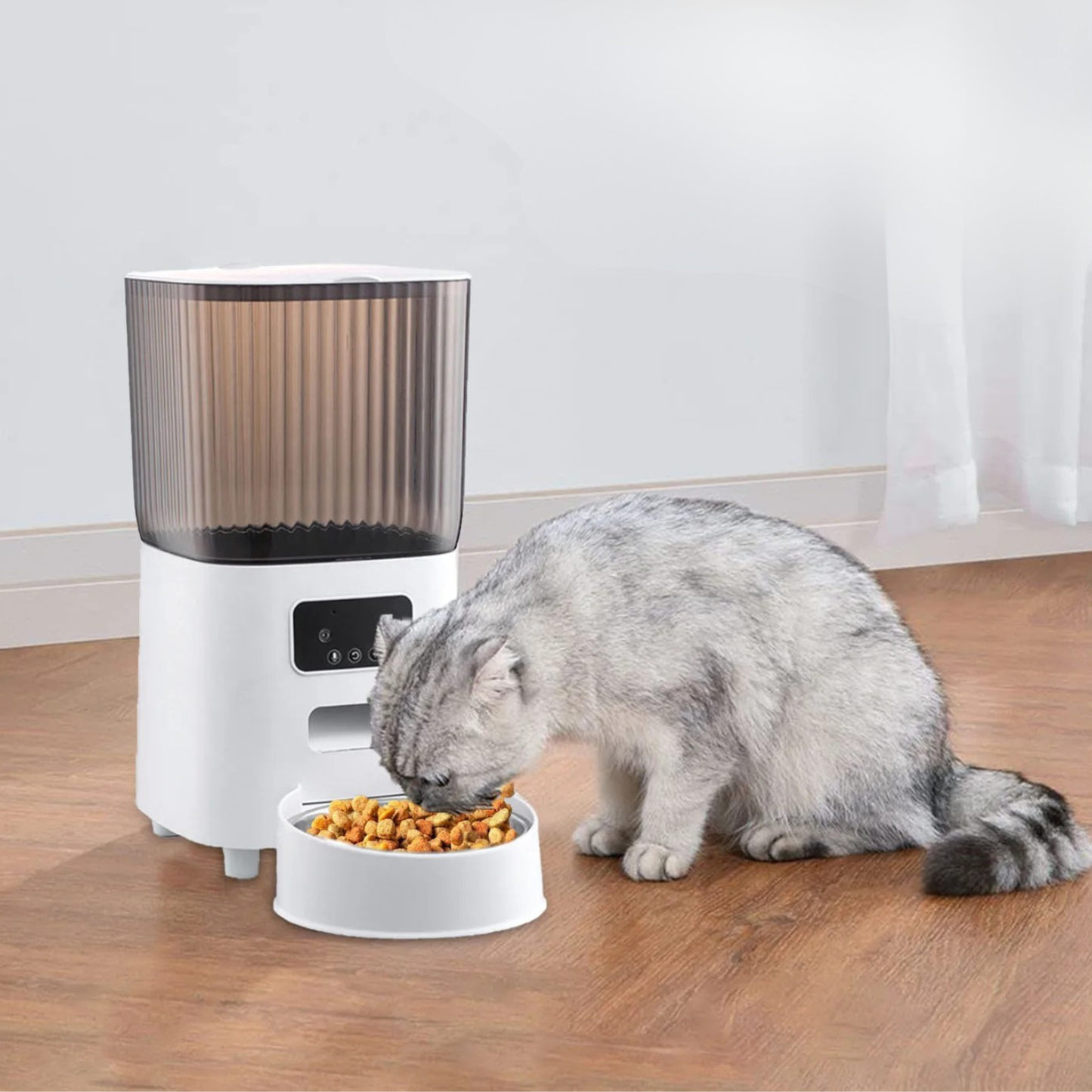 Distributeur automatique de croquettes pour chat ProPet chat qui mange