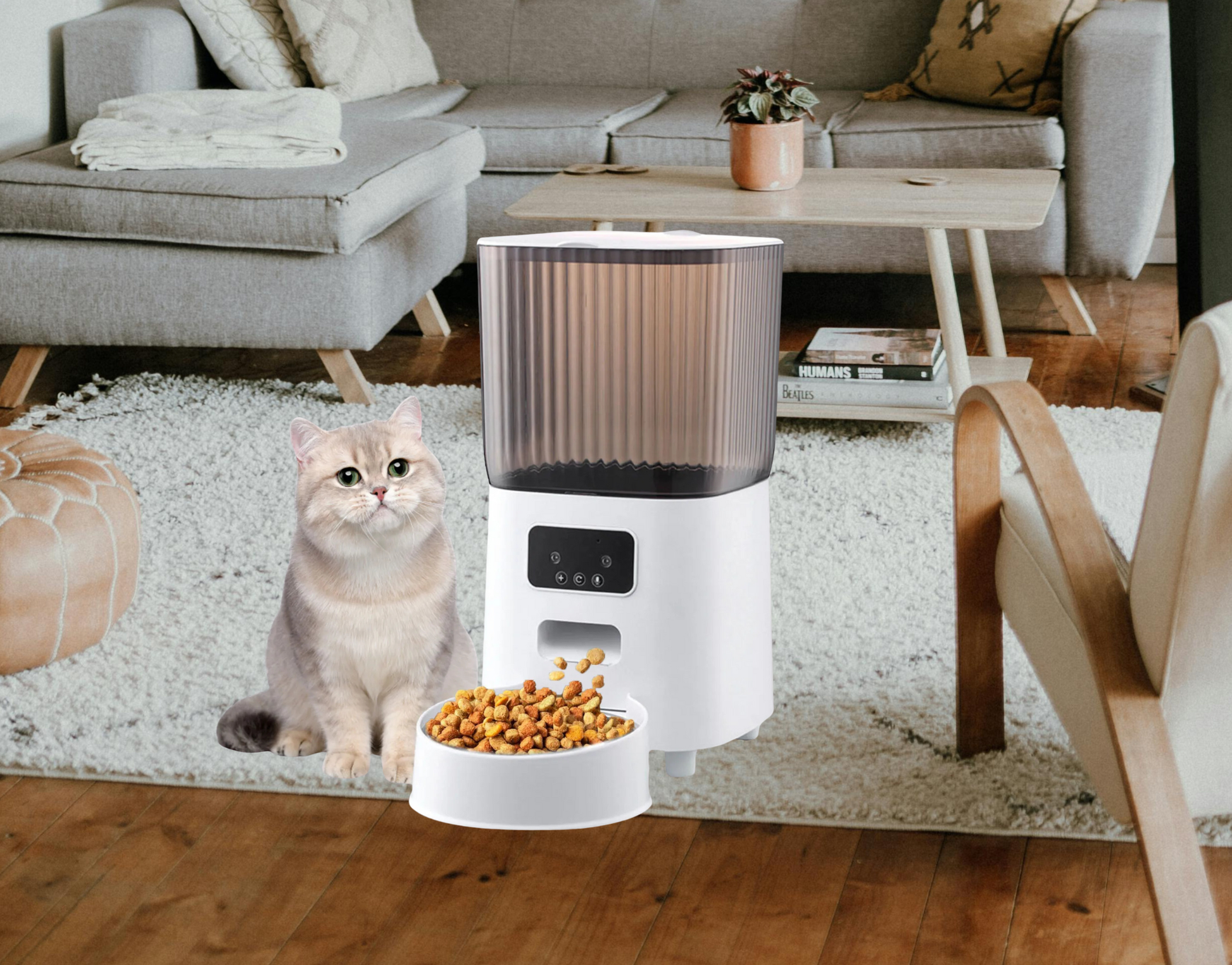 Distributeur automatique de croquettes pour chat ProPet chat qui observe