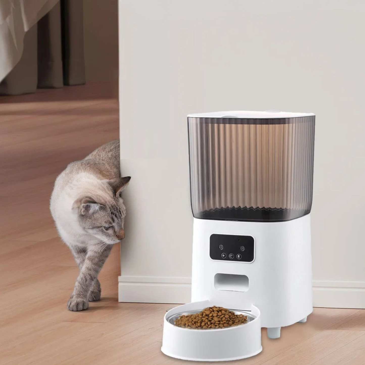 Distributeur automatique de croquettes pour chat ProPet chat qui s approche