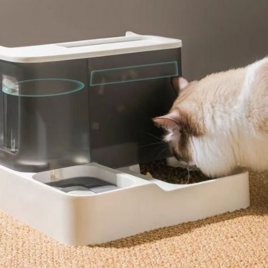 Distributeur de croquettes pour chat | NourriCat™ - Univers Chat Nature