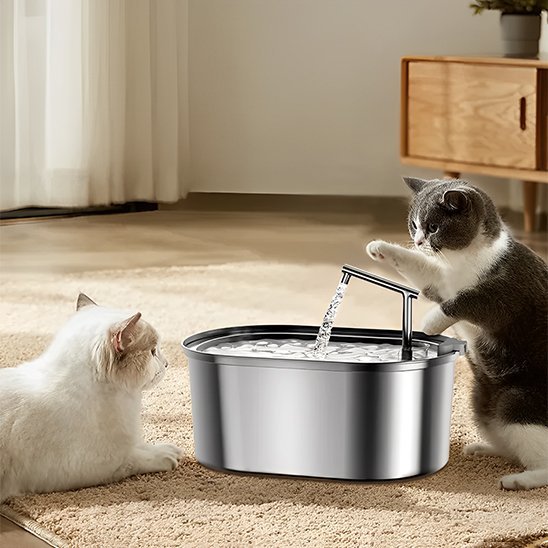 FONTAINE EAU POUR CHAT | HydroFresh™ - Univers Chat Nature