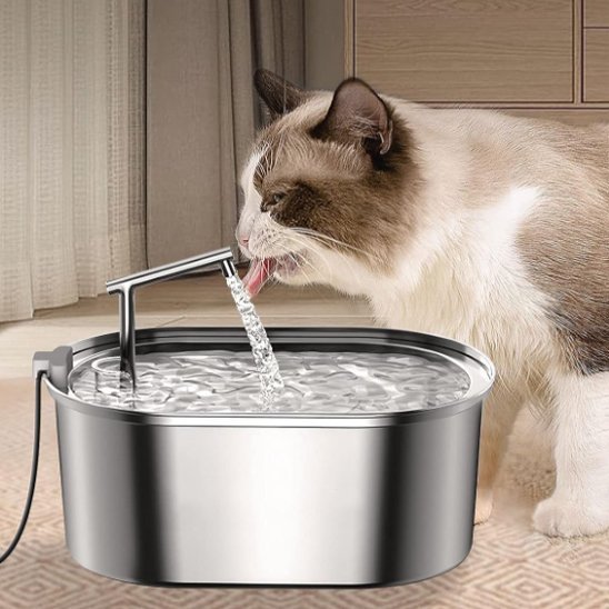 FONTAINE EAU POUR CHAT | HydroFresh™ - Univers Chat Nature