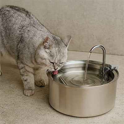 FONTAINE EAU POUR CHAT | SilencPremium™ - Univers Chat Nature