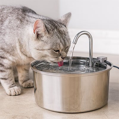 FONTAINE EAU POUR CHAT | SilencPremium™ - Univers Chat Nature