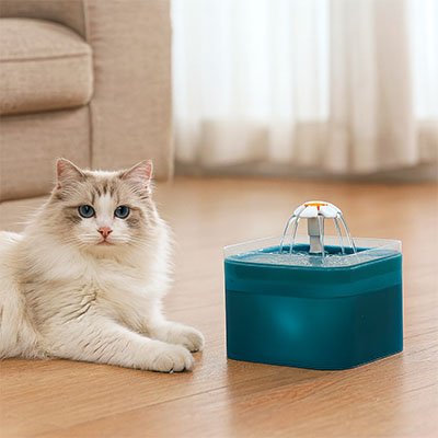Fontaine pour chat | SilentFlow™ - Univers Chat Nature