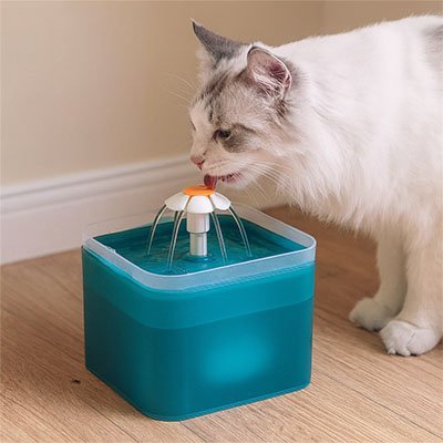 Fontaine pour chat | SilentFlow™ - Univers Chat Nature