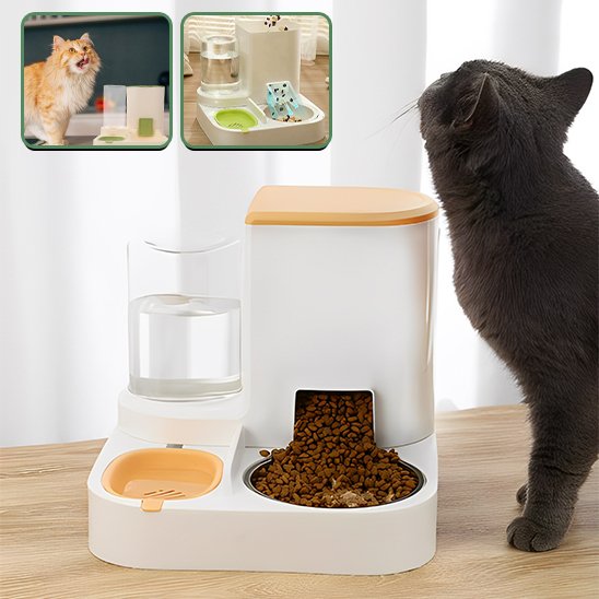 Gamelle automatique chat ergonogam chat noir regardant en haut