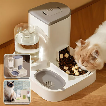 Gamelle automatique chat ergonogam chatou entrain de manger