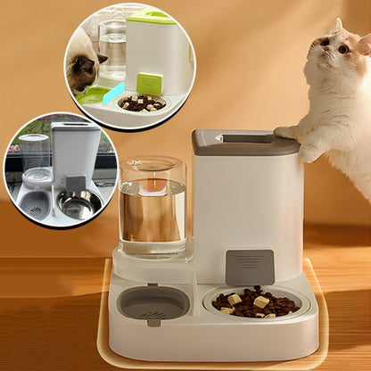 Gamelle automatique chat ergonogam chatou met ses pieds deçu