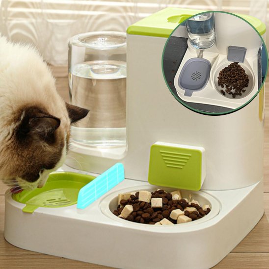 Gamelle automatique chat ergonogam miou entrain de boire