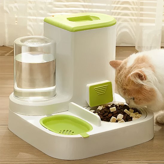 Gamelle automatique chat ergonogam verte avec chat qui mange toujours