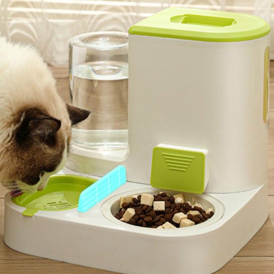 Gamelle automatique chat ergonogam verte miou entrain de manger encore