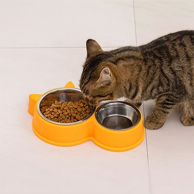 Gamelle pour chat Premium Anti-Regurgitation jaune sur plancher blanc