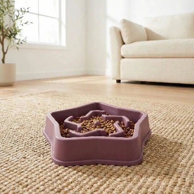 Gamelles Anti Glouton Chat: Ralentir l'alimentation et vomissements | DietoPaws™ - Univers Chat Nature