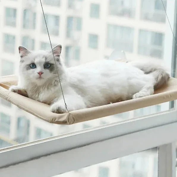 Hamac Chat - PetCatHangingBed™ - Jaune Clair - Univers Chat Nature