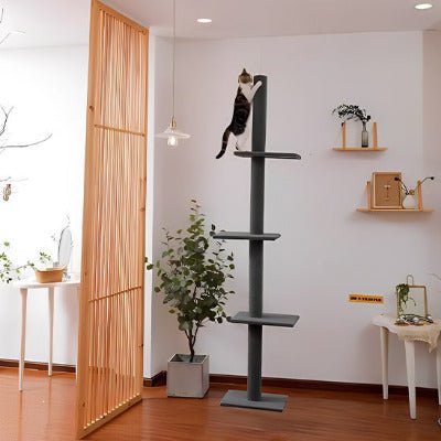 Arbre à chat | Élégance Confort - Univers Chat Nature