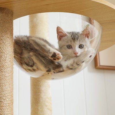 ARBRE A CHAT EN BOIS | Boislune™ - Univers Chat Nature