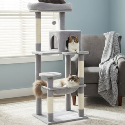 Arbre à chat | Palais Douillet Félin™ - Univers Chat Nature