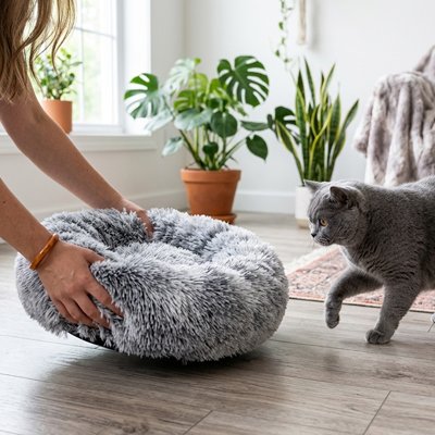 Coussin pour Chat Somnora™ assurant un soutien confortable pour les articulations et favorise un sommeil réparateur