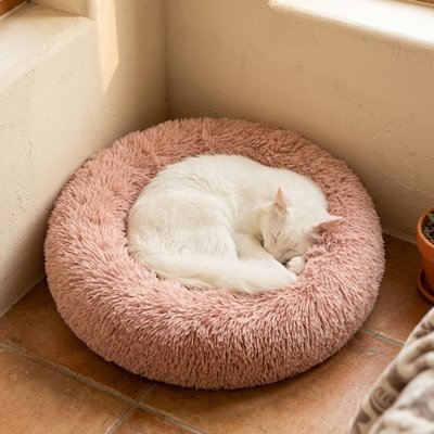 Coussins pour Chats Moellune™ avec  Rebords surélevés: offrent un soutien optimal pour la tête et le cou pendant le sommeil