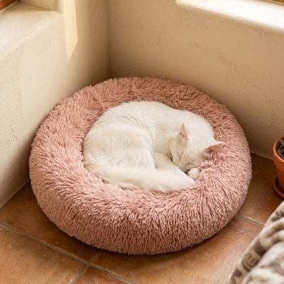 Coussins pour Chats | Moellune™ - Univers Chat Nature