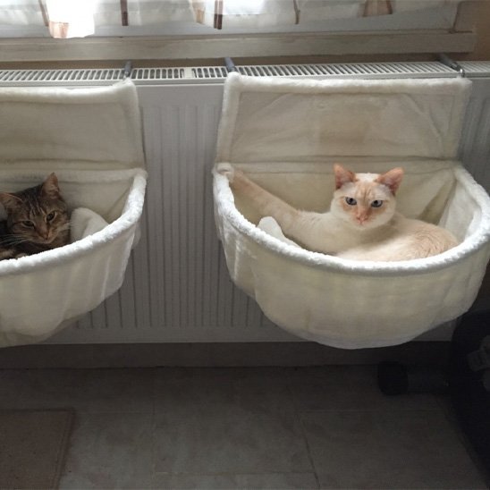 hamac chat radiateur | Ultra - Confortable™ - Univers Chat Nature
