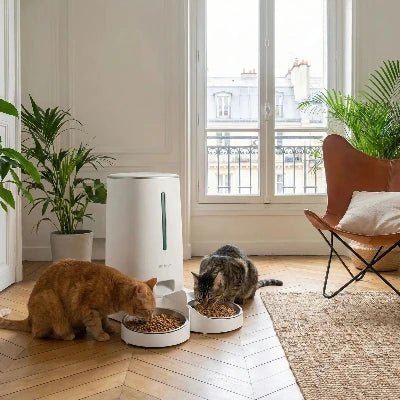 Distributeur automatique de croquettes chat | ConnectFeed™ - Univers Chat Nature