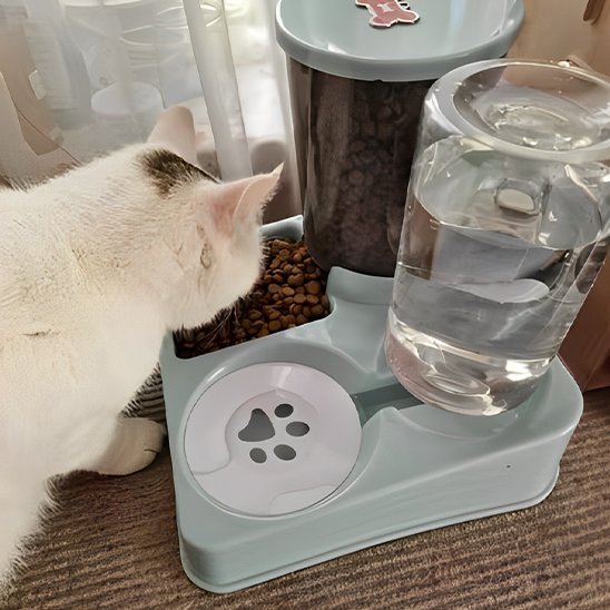 distributeur croquettes pour chat autofeeder beau chat a cote