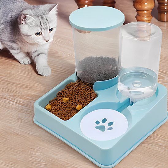 distributeur croquettes pour chat autofeeder chat avance pour manger