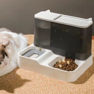 Distributeur de croquettes chat | NutriPure : fini les gamelles vides - Univers Chat Nature