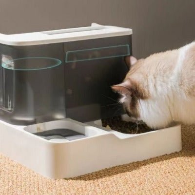 Distributeur de croquettes chat | NutriPure : fini les gamelles vides - Univers Chat Nature