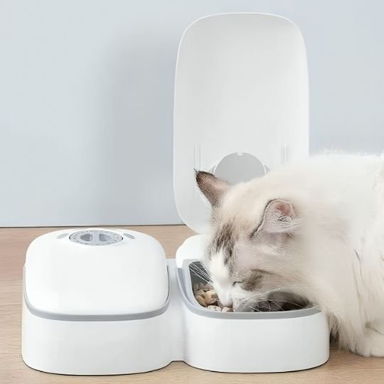 distributeur de croquettes chat petfeeder avec chat qui mange