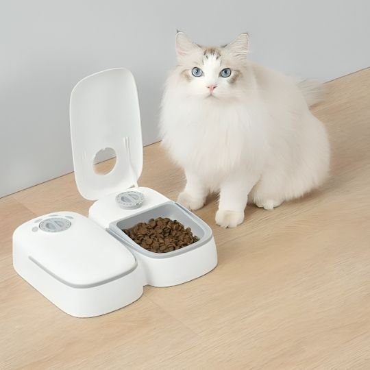 distributeur de croquettes chat petfeeder avec chat qui observe bien