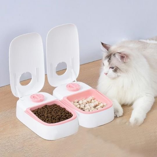 distributeur de croquettes chat petfeeder avec chat